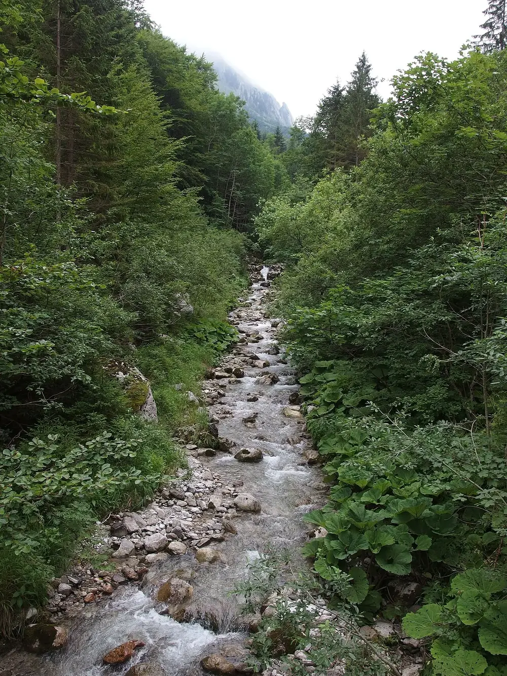 A small temple on the rock, without the crowds — Seseh, While you're in Cemagi