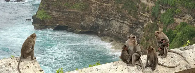 Uluwatu temple on the cliff edge, 30 minutes from Kelan Beach by scooter