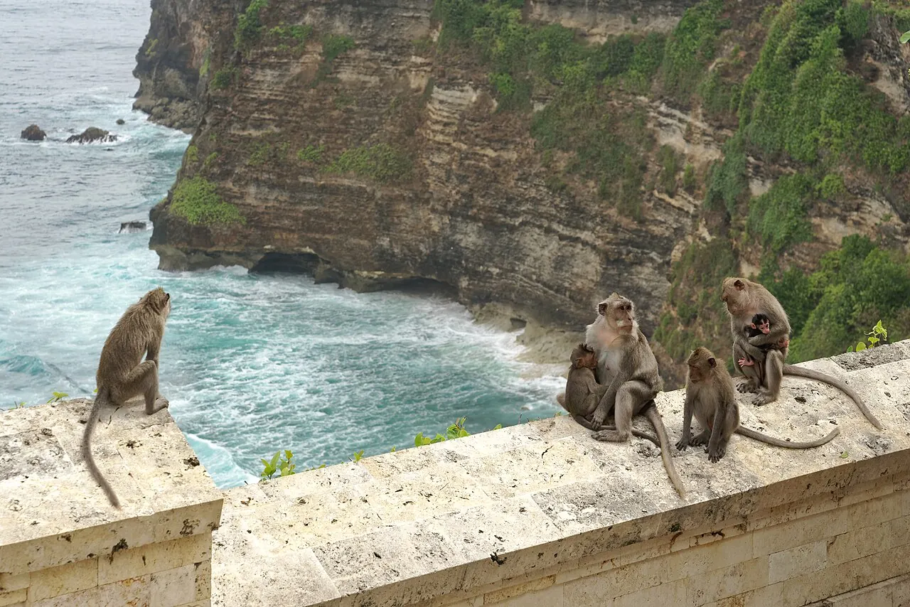 Uluwatu temple on the cliff edge, 30 minutes from Kelan Beach by scooter