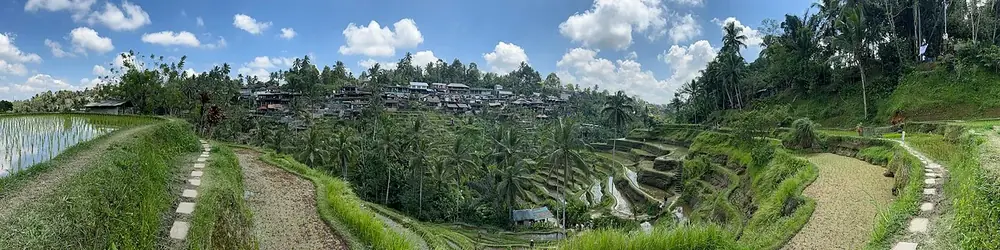 Go early — the light is better — Tegallalang Rice Terraces, While you're in Kuta