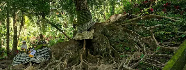 Goa Gajah, the 9th-century cave temple near Lodtunduh, Ubud