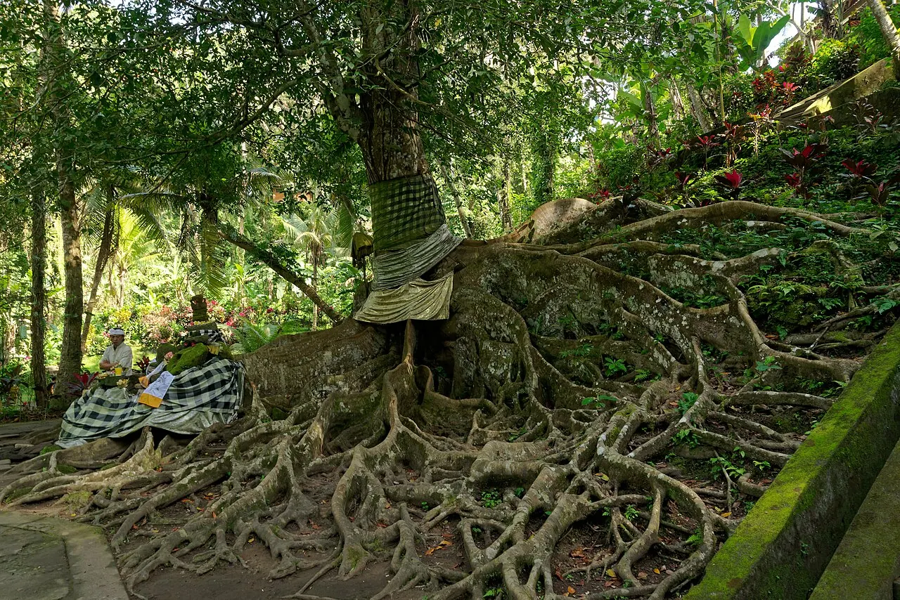 Goa Gajah, the 9th-century cave temple near Lodtunduh, Ubud