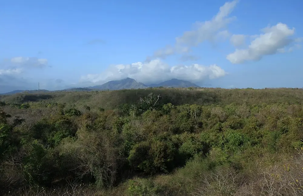 Via Gilimanuk — watch for deer by the roadside — Parc national Bali Barat, While you're in Medewi