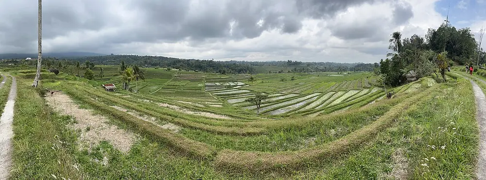 Bali's widest UNESCO rice terraces — Jatiluwih, While you're in Mengwi