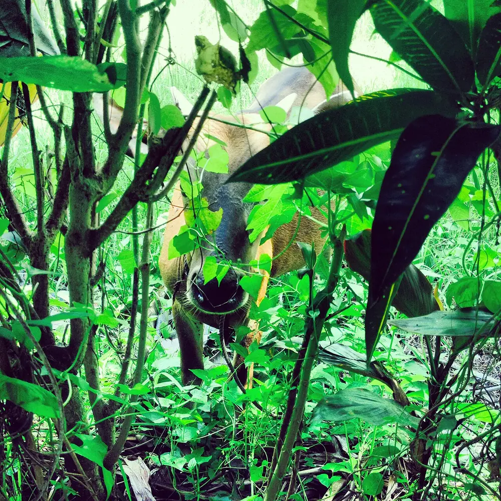 A left-hander in a surfers' village — Plage de Balian, While you're in Pasut