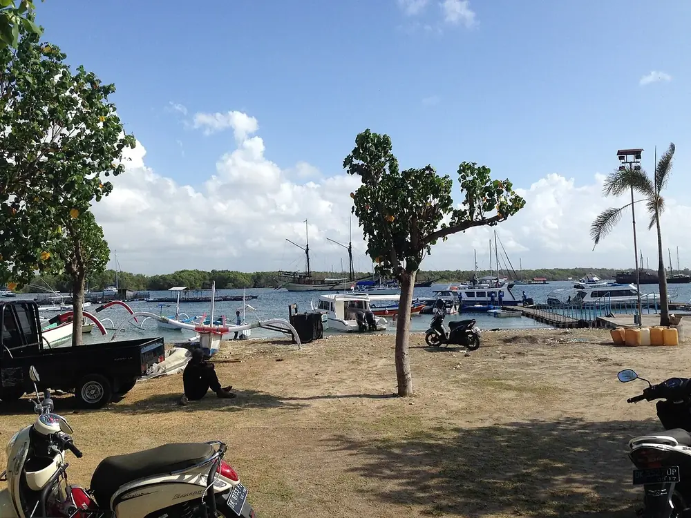 See the turtles early, before the heat — Île de Serangan, While you're in Renon