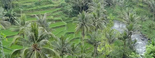 The Ayung River valley in Sayan, Ubud's rafting starting point