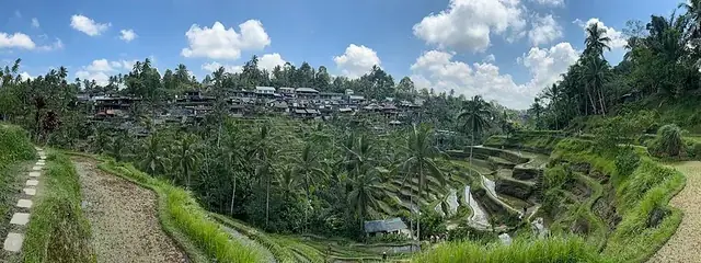 Tegallalang rice terraces, 20 minutes from Ubud by scooter